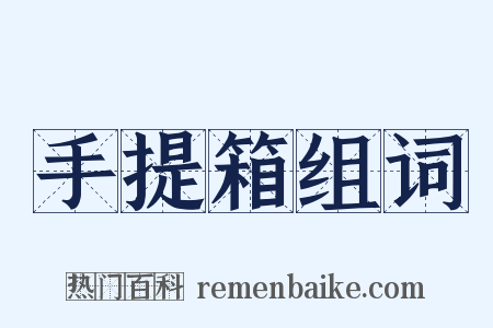 手提箱组词是什么意思的图片